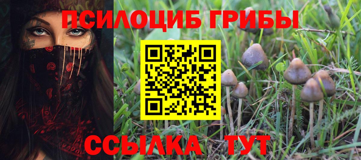 Галлюциногенные грибы Cubensis Лангепас