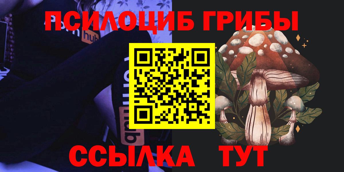 Галлюциногенные грибы Psilocybine cubensis Лангепас